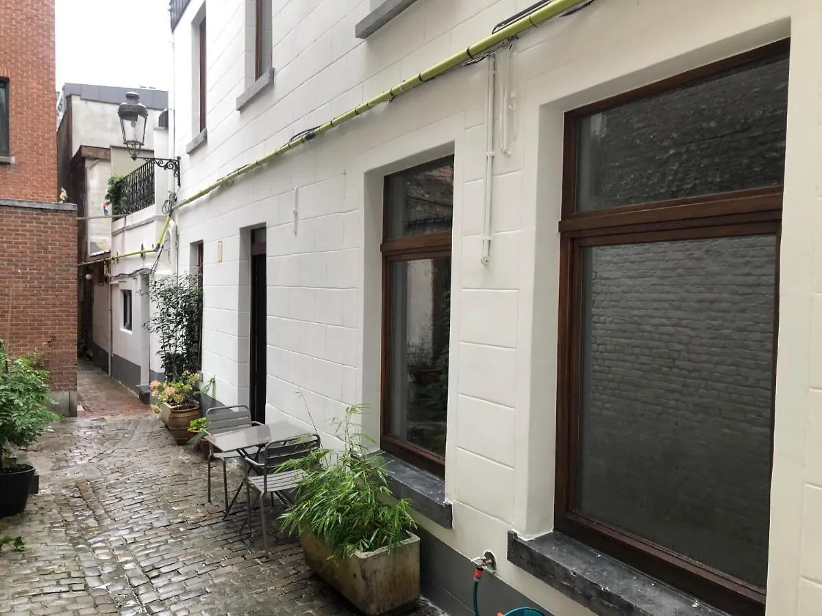 Petite Impasse Privee Apartment Brussels