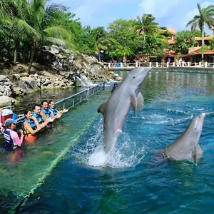 Increible Estudio En Puerto Aventuras, Con Alberca # 201 , Puerto Aventuras Mexico
